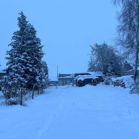 Ferienwohnung Classen Eifel Schleiden Dış mekan fotoğraf