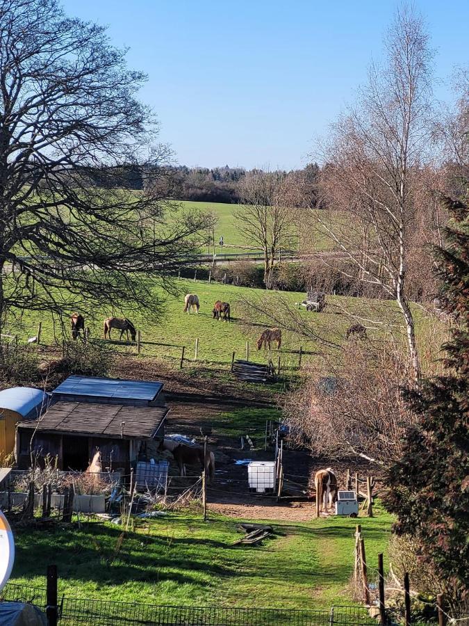 Ferienwohnung Classen Eifel Schleiden Dış mekan fotoğraf